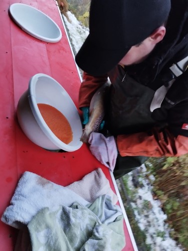 PHOTO 2024 01 20 18 04 20