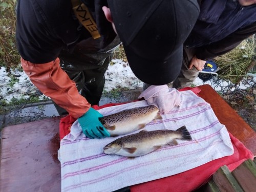 PHOTO 2024 01 20 18 04 20 3