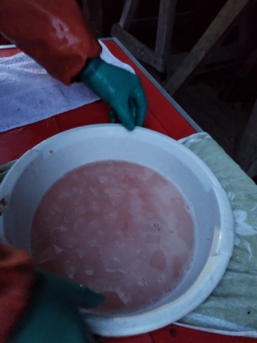 PHOTO 2024 01 20 18 04 39 2