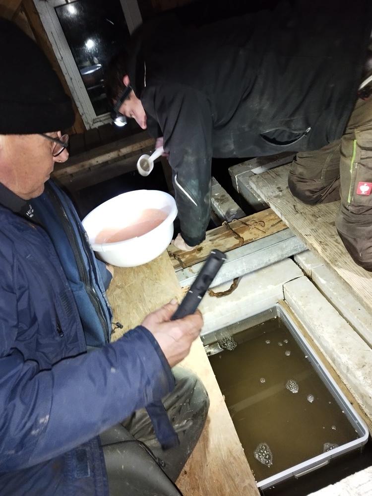 PHOTO 2024 01 20 18 04 39 4