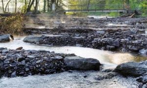 Erste Ergebnisse stimmen optimistisch